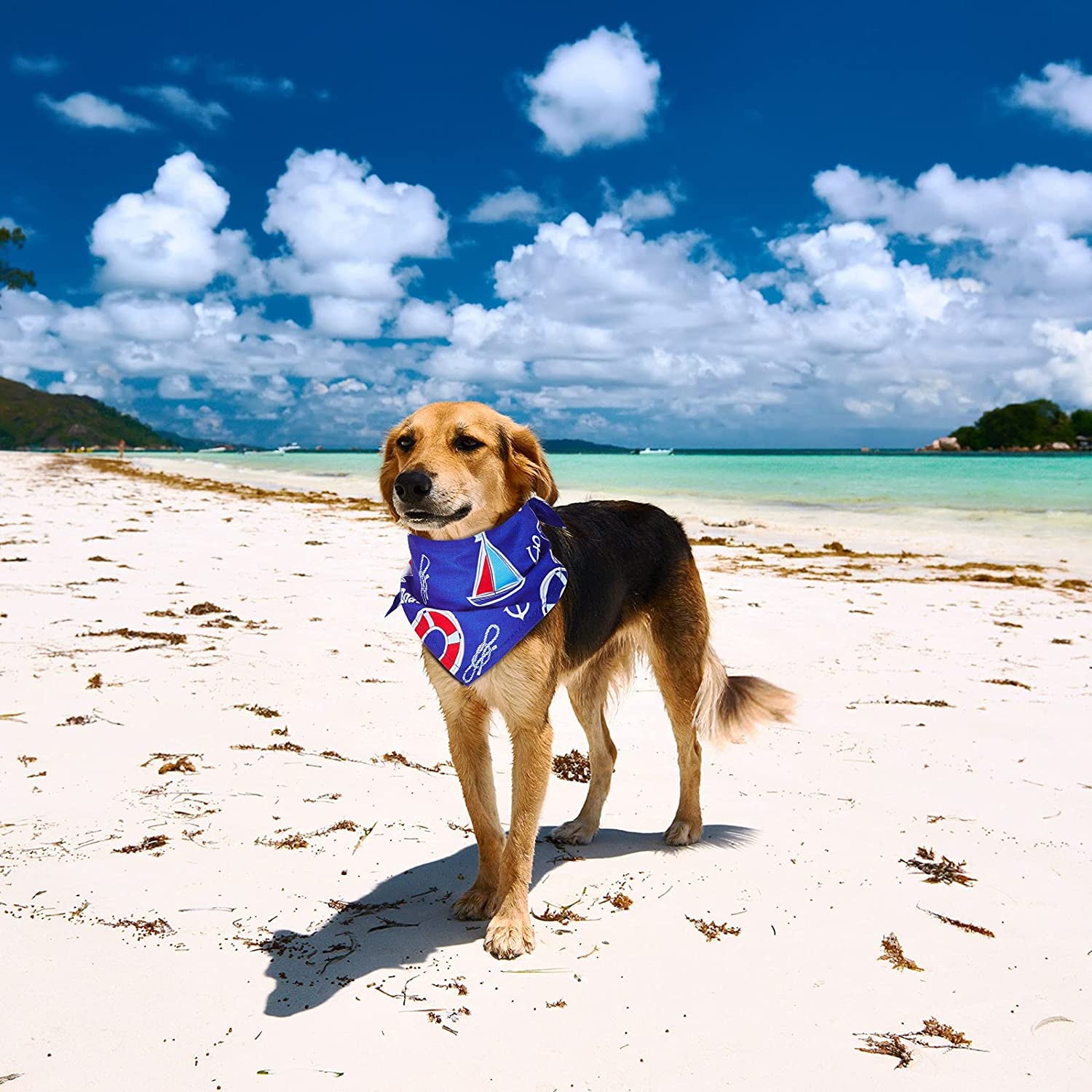 8 Pieces Nautical Dog Bandanas Summer Pets Bandana Ocean Pets Triangle Scarf Bibs Puppy Bibs Adjustable Dog Bandanas Washable Sea Turtle Pets Triangle Scarf Accessories for Most Pet Wearing Animals & Pet Supplies > Pet Supplies > Dog Supplies > Dog Apparel Xuniea   