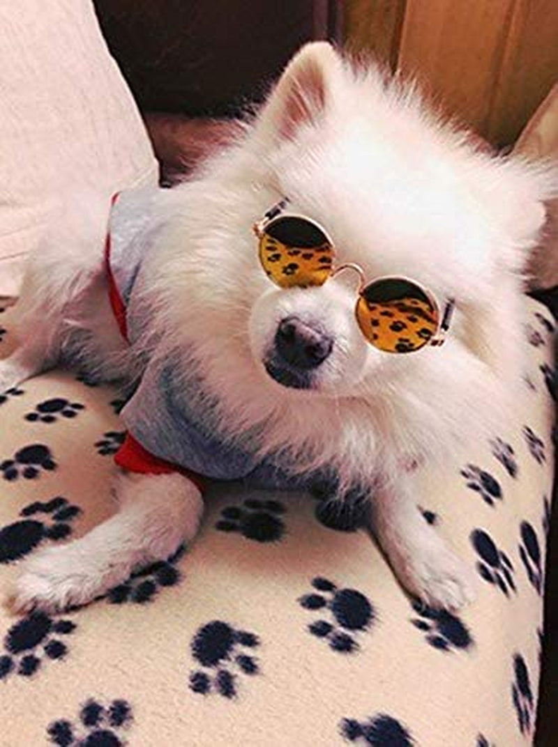 DPLUS Cool Stylish and Funny Cute Pet Sunglasses Pet Goggles - Glasses Set of 5 - Classic Retro Circular Metal Prince Sunglasses for Cat,Chihuahua or Small Dogs (Classic Retro) Animals & Pet Supplies > Pet Supplies > Dog Supplies > Dog Apparel Dplus   