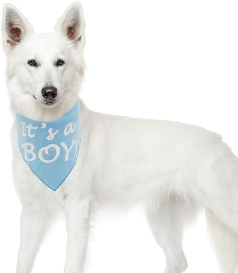 It’S a Boy or It’S a Girl Dog Bandana Pregnancy Announcement Dog Bandana Baby Announcement Triangle Pet Scarf Scarves Gender Reveal Photo Prop Blue Animals & Pet Supplies > Pet Supplies > Dog Supplies > Dog Apparel Barleygoo   