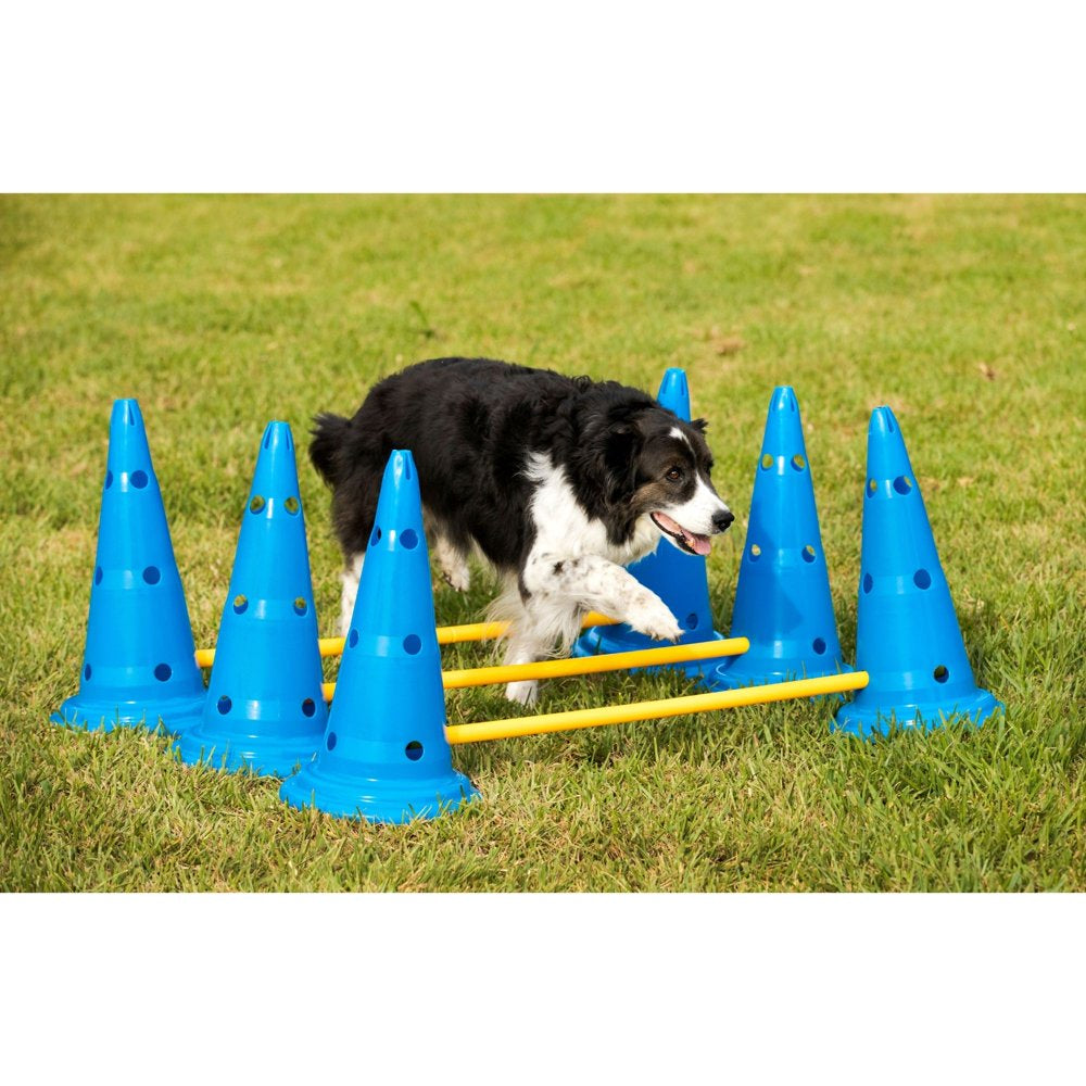 Midlee Dog Cone & Pole Agility Set- Adjustable Big to Small Dogs- Set of 3 Animals & Pet Supplies > Pet Supplies > Dog Supplies > Dog Treadmills Midlee   