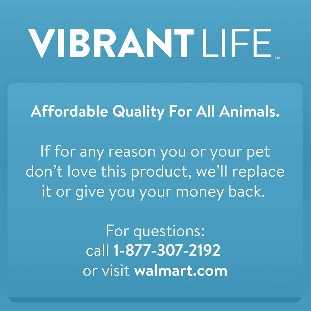 Vibrant Life 24 Piece Value Pack Cat Toys Animals & Pet Supplies > Pet Supplies > Cat Supplies > Cat Toys Multipet   