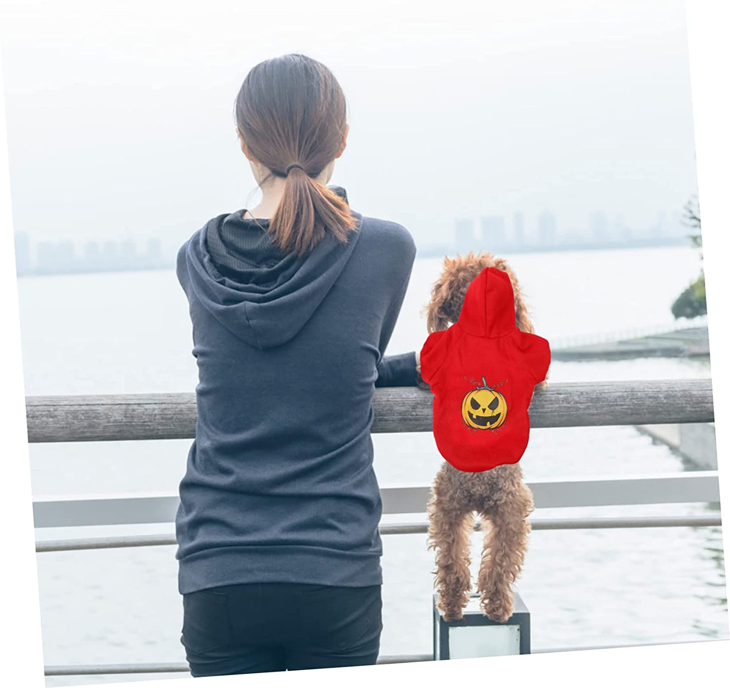 BCOATH 1Pc Pet Sweater Puppy Outfits Warm Coats for Women Winter Winter Wear Winter Doggie Coat Halloween Dog Cat Cloak Hat Pet Winter Jacket Pet Coat Pet Garment Interesting Dog Clothes Animals & Pet Supplies > Pet Supplies > Dog Supplies > Dog Apparel BCOATH   