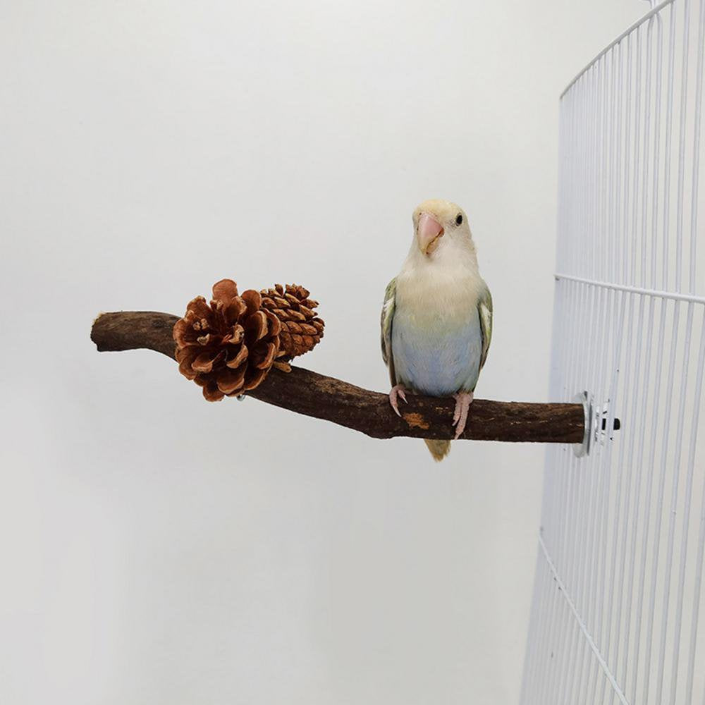 Fovolat Bird Perch Parakeet Cage Accessories Natural Wood Stand Parakeet Toys Parakeet Toys Bird Cage Decoration for Macaws Cockatoos Parakeets Peonies Honest Animals & Pet Supplies > Pet Supplies > Bird Supplies > Bird Cages & Stands Fovolat   