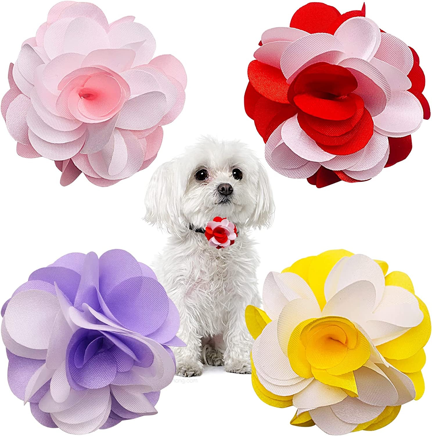 PET SHOW 4Pcs Dog Flowers Collar Charms Slides Attachment Accessories for Small Medium Large Dogs Cat Puppy Bows Grooming Supplies Animals & Pet Supplies > Pet Supplies > Dog Supplies > Dog Apparel Bysitshow H 2.5"  