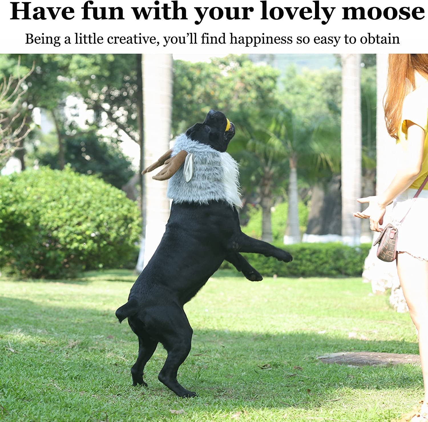 Onmygogo Funny Moose Costumes for Dog, Cute Furry Pet Wig for Halloween Christmas, Pet Clothing Accessories (Moose, Size L) Animals & Pet Supplies > Pet Supplies > Dog Supplies > Dog Apparel Shenzhen Animour Comercial and Trading Limited   