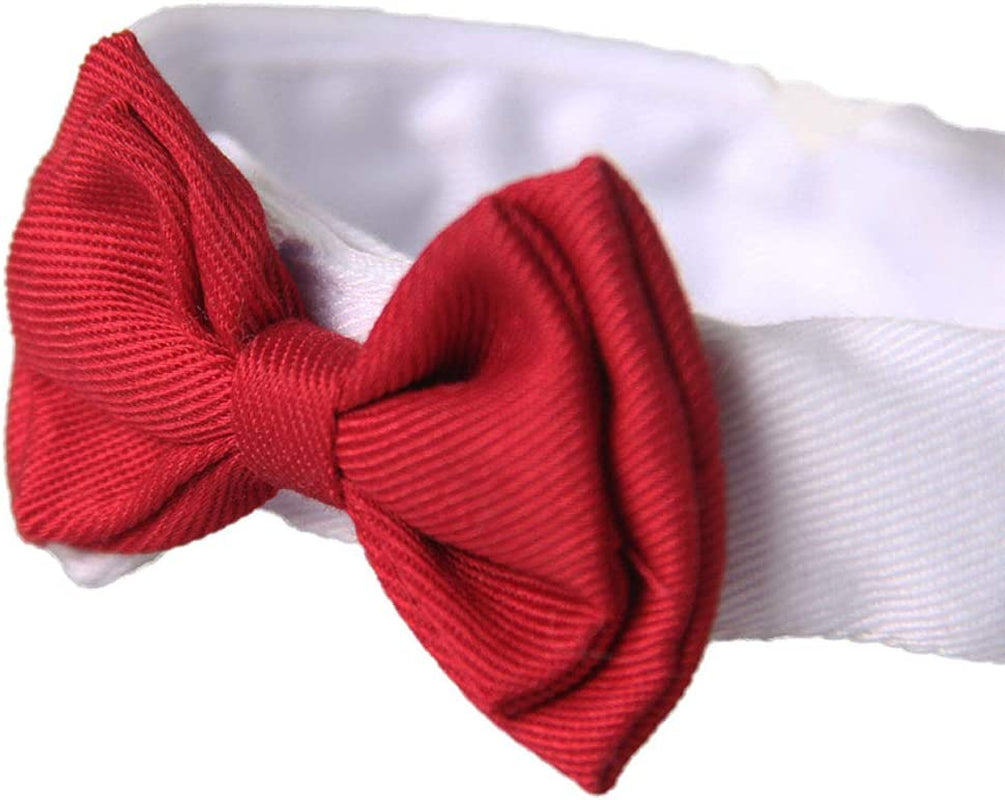 Bolbove Adjustable Formal Pet Bowtie Collar Neck Tie for Dogs & Cats (Small, Red) Animals & Pet Supplies > Pet Supplies > Dog Supplies > Dog Apparel Bolbove   