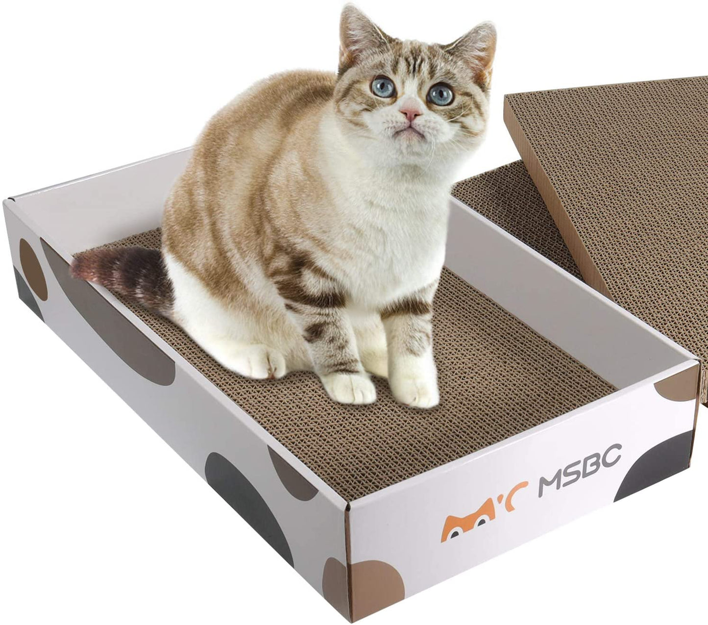 Comsaf Durable Cat Scratcher Bed for Furniture Protection, Cat Training Toy, Set of 1, 3 Pcs