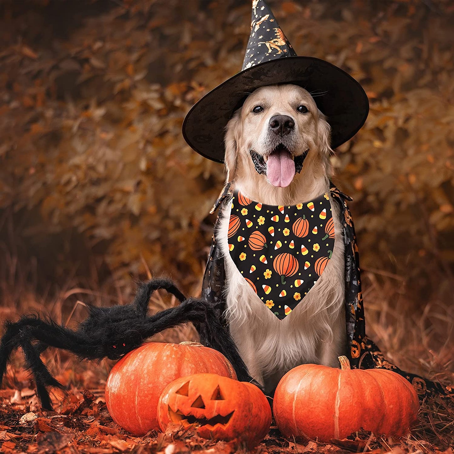 2 Pack Halloween Dog Bandana, Holiday Cat Pumpkin Candy Corn Bandana Bibs Scarf Accessories for Small Mediun Large Dogs and Cats Pets Puppies (Large) Animals & Pet Supplies > Pet Supplies > Dog Supplies > Dog Apparel Pohshido   