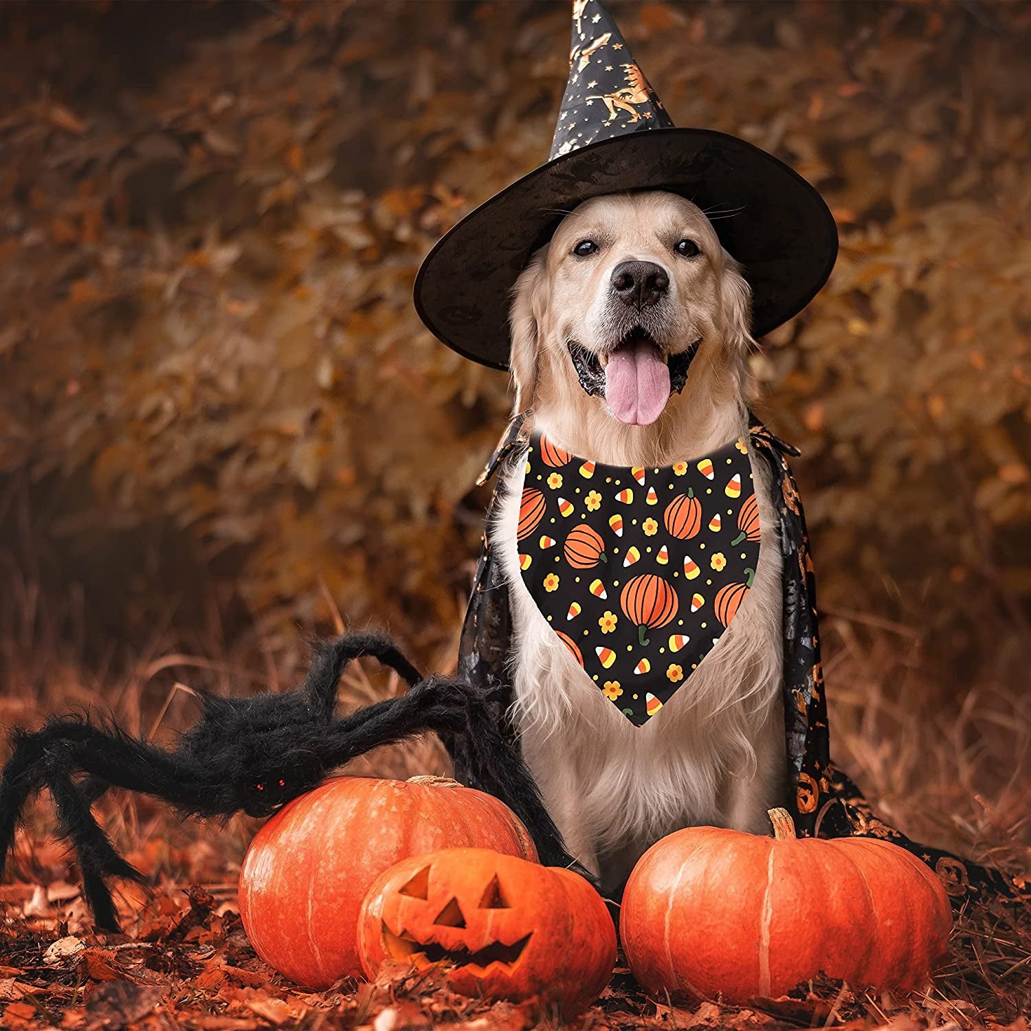 2 Pack Halloween Dog Bandana, Holiday Cat Pumpkin Candy Corn Bandana Bibs Scarf Accessories for Small Mediun Large Dogs and Cats Pets Puppies (Large) Animals & Pet Supplies > Pet Supplies > Dog Supplies > Dog Apparel Pohshido   