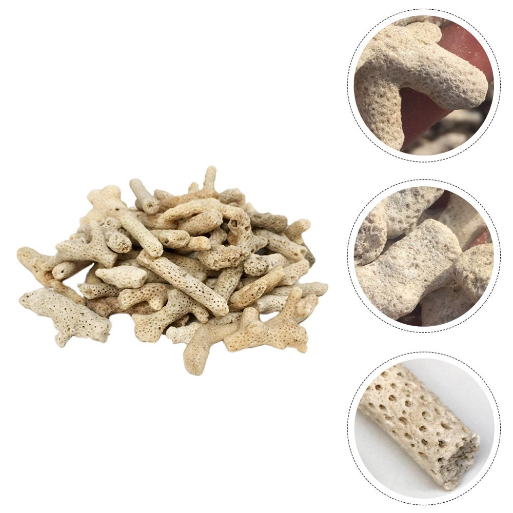 Etereauty Filter Aquarium Fish Tank Coral Gravel Media Filters Pond Stone Fitler Decoration Substrate Ornament Material Pad Ponds