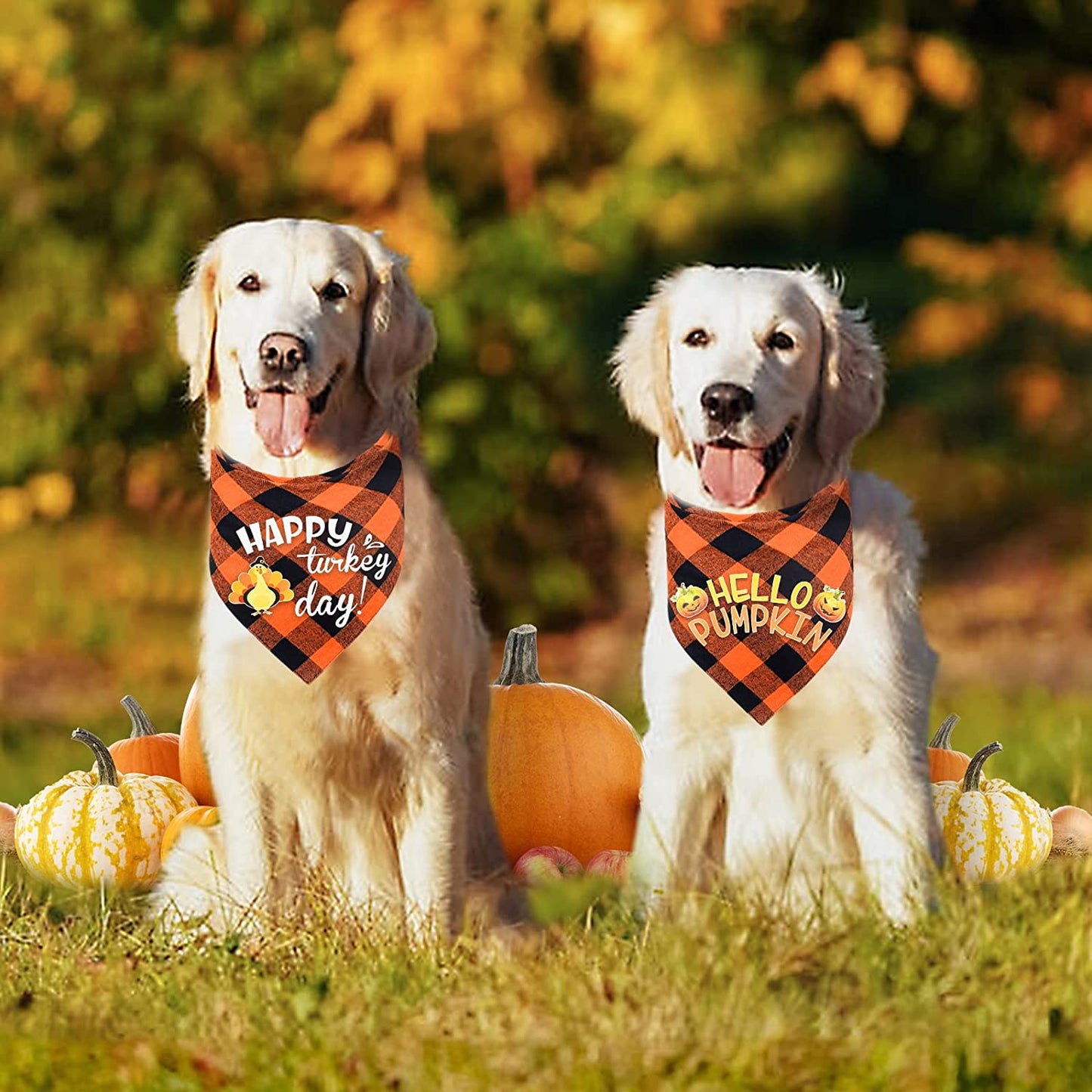 Malier 2 Pack Thanksgiving Dog Bandana, Holiday Classic Buffalo Plaid Turkey Pumpkin Pattern Bandana, Dog Scarf Triangle Bibs Kerchief Costume Accessories for Small Medium Large Dogs Cats (Large) Animals & Pet Supplies > Pet Supplies > Dog Supplies > Dog Apparel Malier   