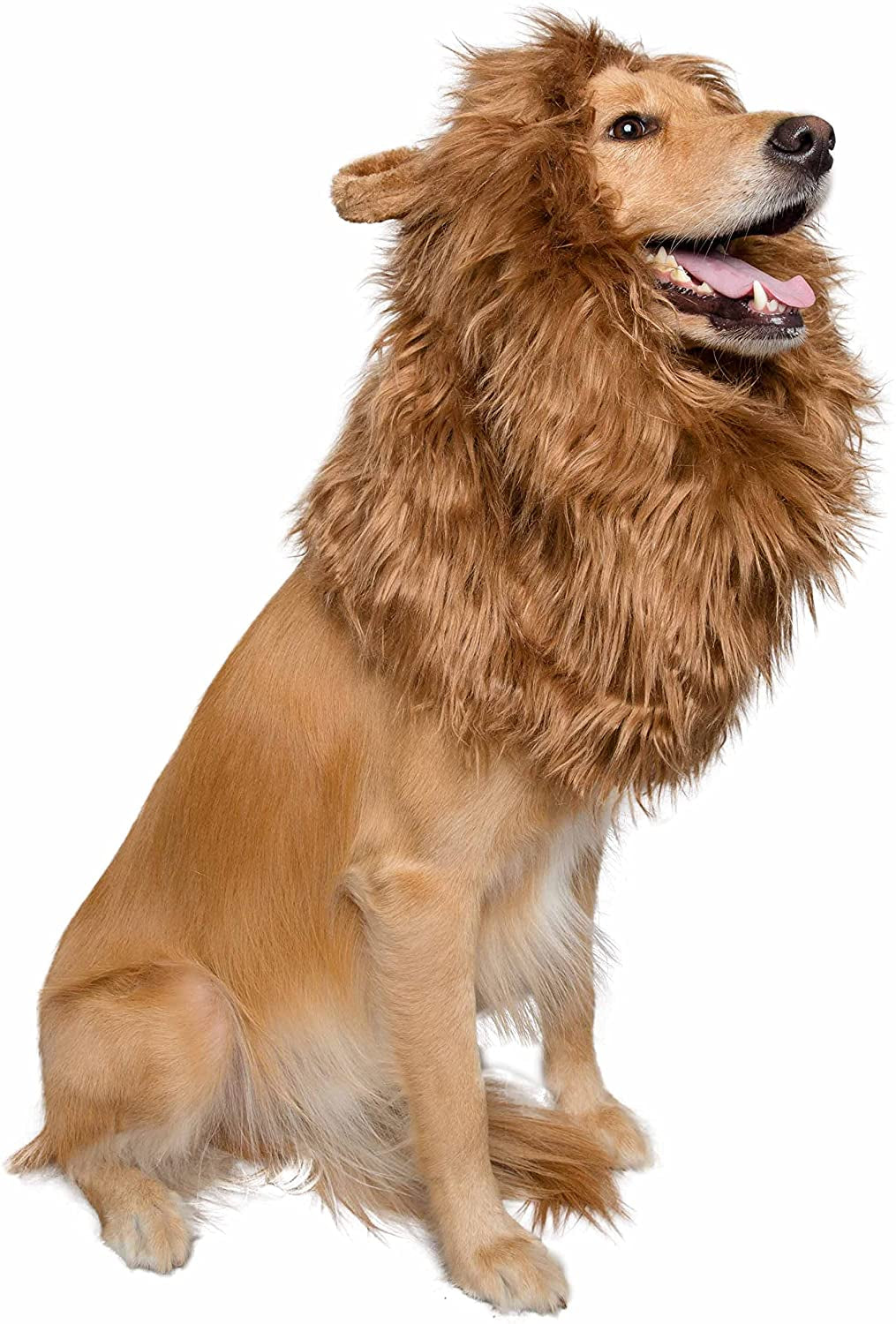 Pet Krewe Dog Lion Mane Halloween Costume Lion Mane for Large and Small Dogs – Ideal for Halloween, Dog Birthday, Dog Cosplay, Dog Outfits, Pet Clothes Animals & Pet Supplies > Pet Supplies > Dog Supplies > Dog Apparel Pet Krewe   