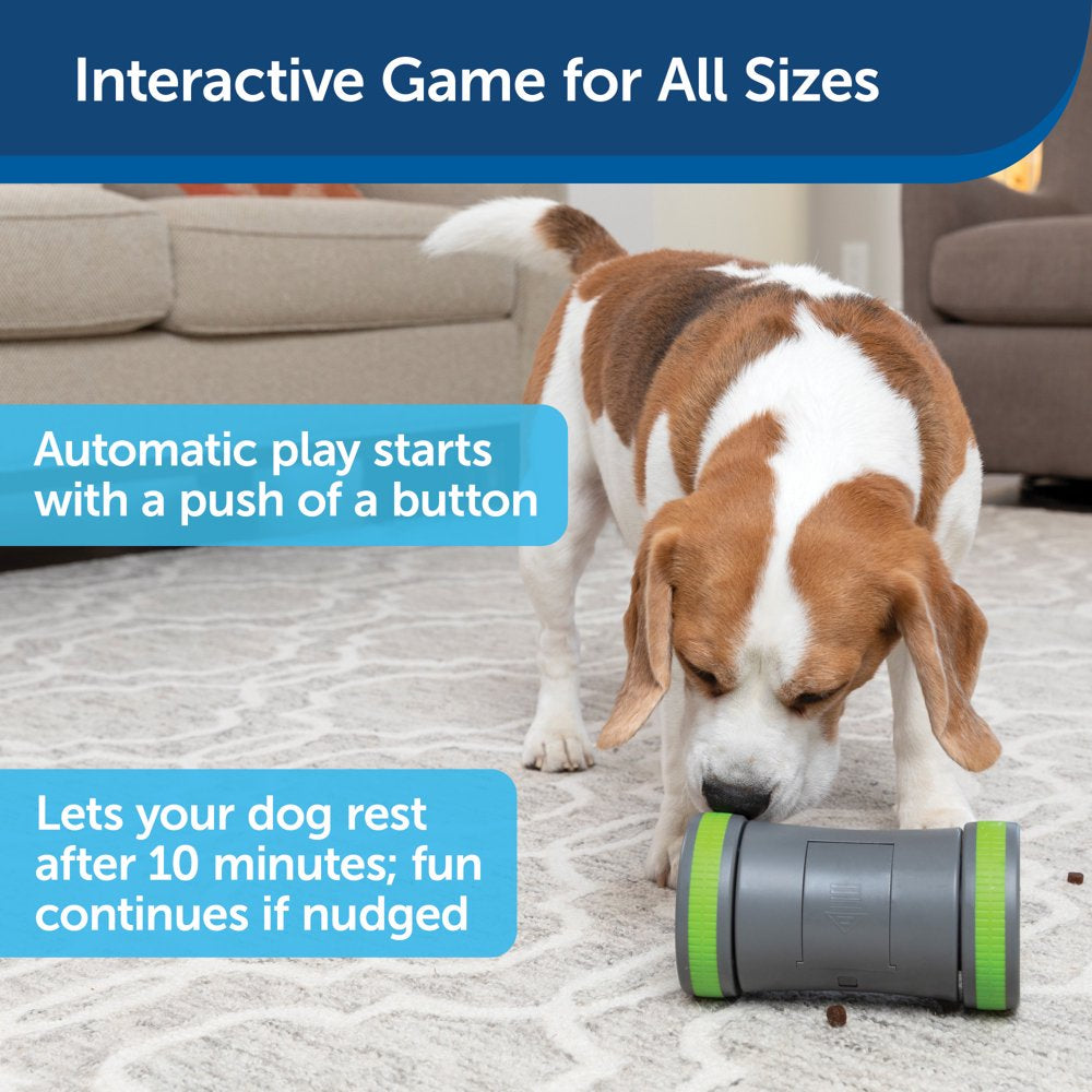 Petsafe Kibble Chase Interactive Dog Toy, Slow Feeder, Electronic Treat Dispenser Animals & Pet Supplies > Pet Supplies > Dog Supplies > Dog Toys Radio Systems Corporation   