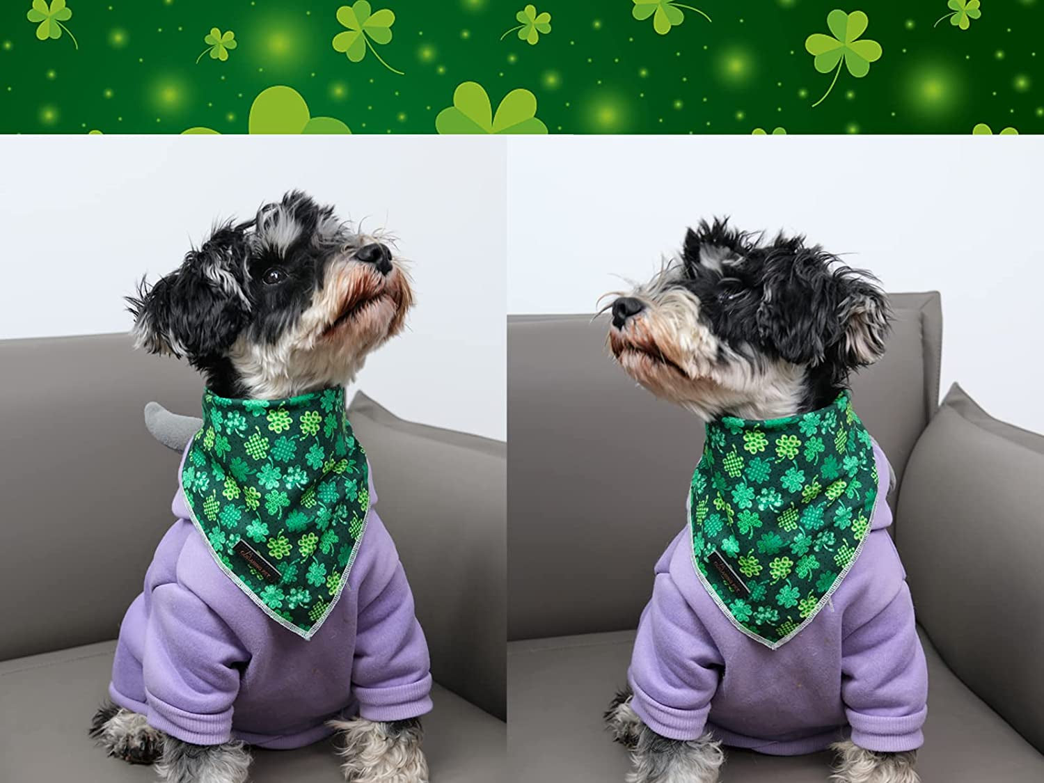 ARING PET St. Patrick'S Day Dog Bandana-Cute Clover Dog Bandana, Cotton Trefoil Dogs Scarf Triangle Bibs for Small to Large Boy Girl Dogs and Cats Animals & Pet Supplies > Pet Supplies > Dog Supplies > Dog Apparel ARING PET   