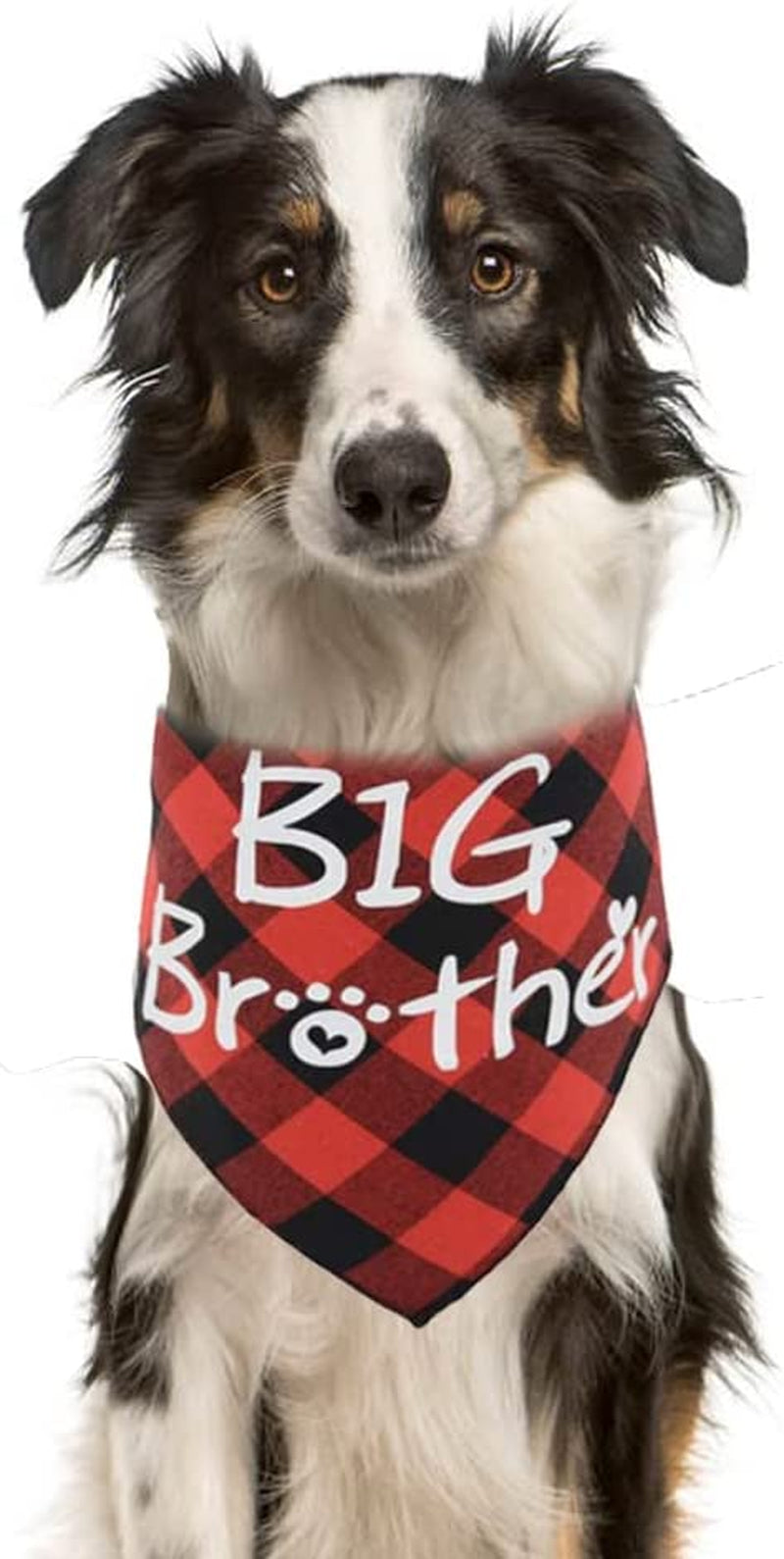 Big Brother Dog Bandanas Plaid Pregnancy Dog Bandana Reversible Triangle Bibs Pet Scarf Accessories Animals & Pet Supplies > Pet Supplies > Dog Supplies > Dog Apparel Busypaws   