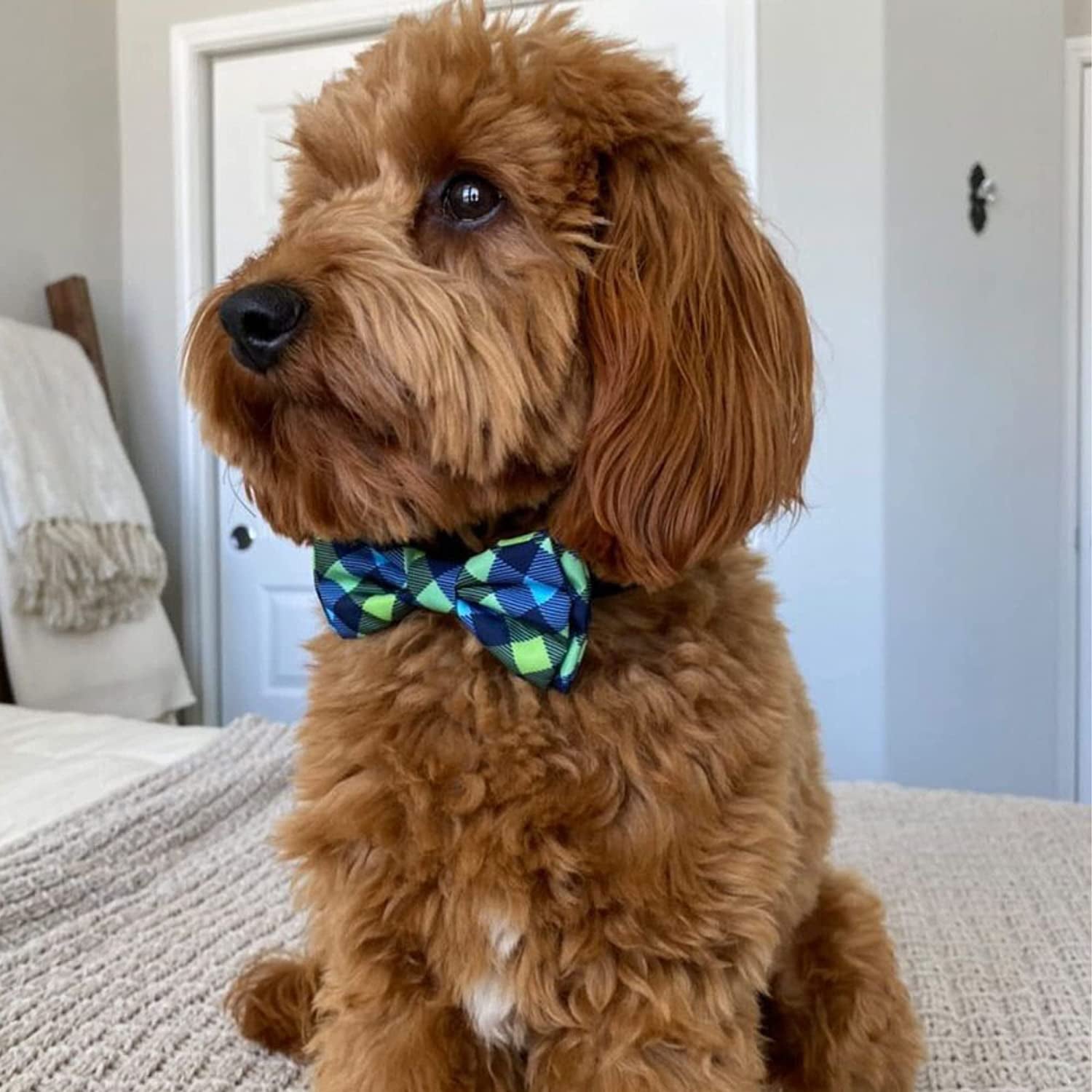 H&K Bow Tie for Pets | Navy Check (Small) | Velcro Bow Tie Collar Attachment | Fun Bow Ties for Dogs & Cats | Cute, Comfortable, and Durable | Huxley & Kent Bow Tie Animals & Pet Supplies > Pet Supplies > Dog Supplies > Dog Apparel Huxley & Kent   