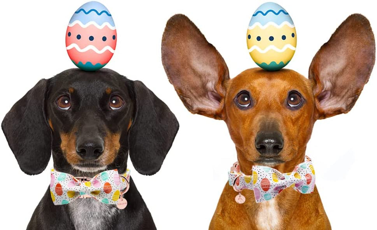 DOGWONG Easter Dog Collar with Bowtie, Easter Egg Holiday Dog Collar Comfortable Durable Dog Collar for Small Medium Large Dog Animals & Pet Supplies > Pet Supplies > Dog Supplies > Dog Apparel DOGWONG   