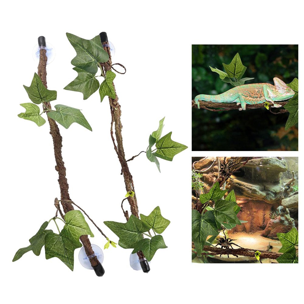 Reptiles Plants Amphibian Habitat Hideout for Terrarium Geckos