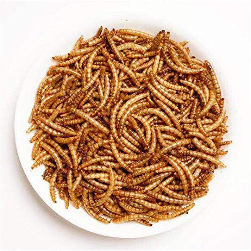 Amzey Freeze Dried Mealworms 2LBS, 100% Natural Non-Gmo, High-Protein Mealworms for Birds, Chicken Treats, Ducks, Wild Birds, Reptiles