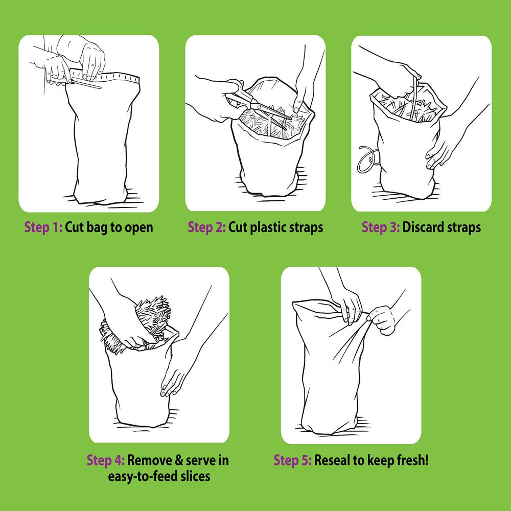 Vitakraft Small Animal Timothy Hay for Guinea Pigs, Rabbits, and Chinchillas - 3.5 Lb Animals & Pet Supplies > Pet Supplies > Small Animal Supplies > Small Animal Food Vitakraft Sun Seed   