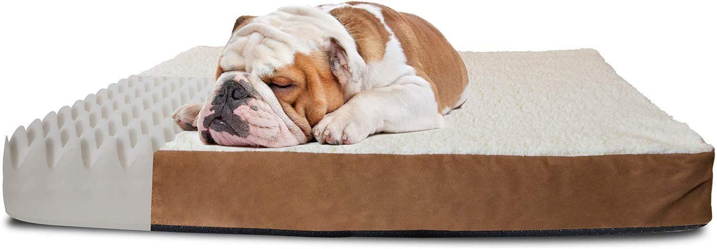 Paws & Pals Orthopedic Pet Bed Foam-Mattress Dogs and Cats (Medium 30 Long X 20 Wide) Animals & Pet Supplies > Pet Supplies > Cat Supplies > Cat Beds Paws & Pals   