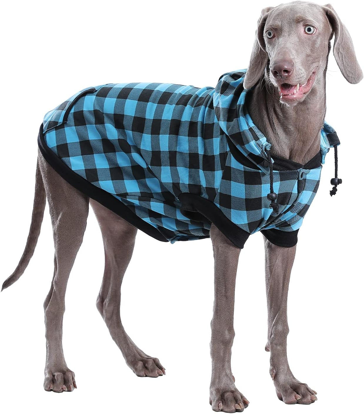 PAWZ Road Dog Coat Plaid Dog Sweater British Style Dog Vest Windproof Dog Jacket Dog Winter Clothes for Small Medium Large Dogs from Size S to 3Xlarge-Green Plaid S Animals & Pet Supplies > Pet Supplies > Dog Supplies > Dog Apparel PAWZ Road Blue 2X-Large (Pack of 1) 