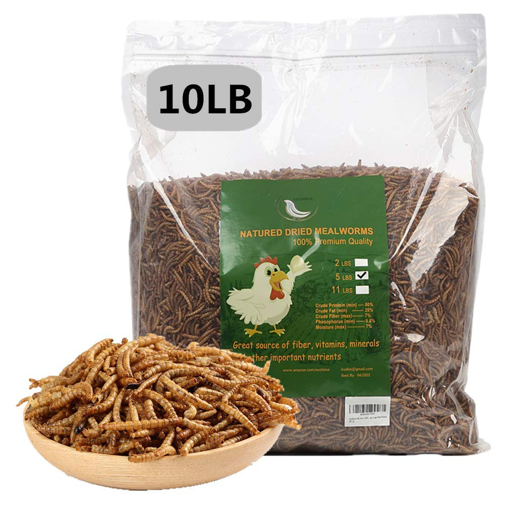 Non-Gmo Dried Mealworms, 100% Non-Gmo Natural High-Protein, Treats for Chicken, Fish, Wild Birds, Bird Food, BSF Larvae Treats for Hen, Duck Animals & Pet Supplies > Pet Supplies > Bird Supplies > Bird Treats SKYSONIC   