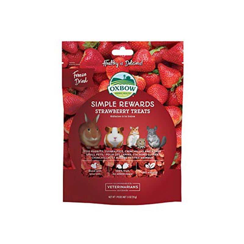 Oxbow SIMPLE REWARDS STRAWBERRY Small Animal Treat 0.5 Oz Animals & Pet Supplies > Pet Supplies > Small Animal Supplies > Small Animal Treats Oxbow   