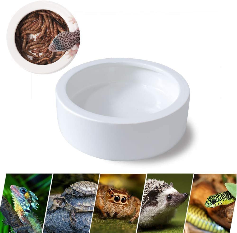 Ceramic Pet Bowl, Large Reptile Bowl for Reptiles and Amphibians, Reptile Water Turtle Food Dish Feeder Bowl for Amphibians Gecko Snakes Lizard Chameleon Animals & Pet Supplies > Pet Supplies > Reptile & Amphibian Supplies > Reptile & Amphibian Food Universal   