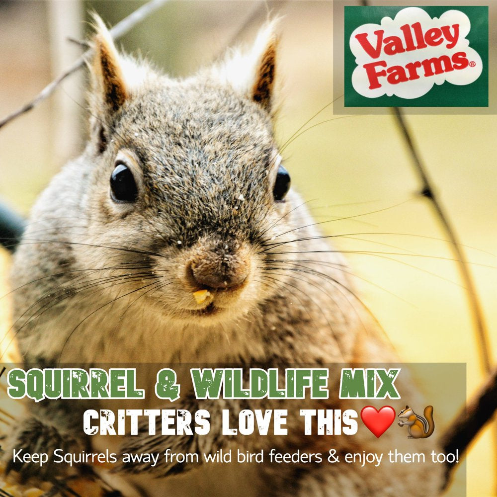 Valley Farms Squirrel & Wildlife Mix Wild Bird Food Animals & Pet Supplies > Pet Supplies > Bird Supplies > Bird Food Valley Farms   