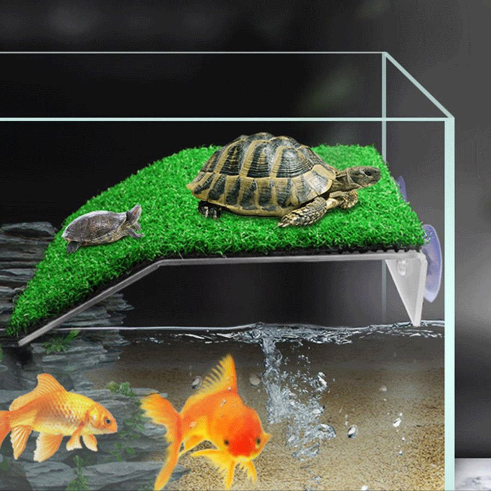 Austok Turtle Basking Platform, Simulation Grass Turtle Ramp for Turtl –  KOL PET