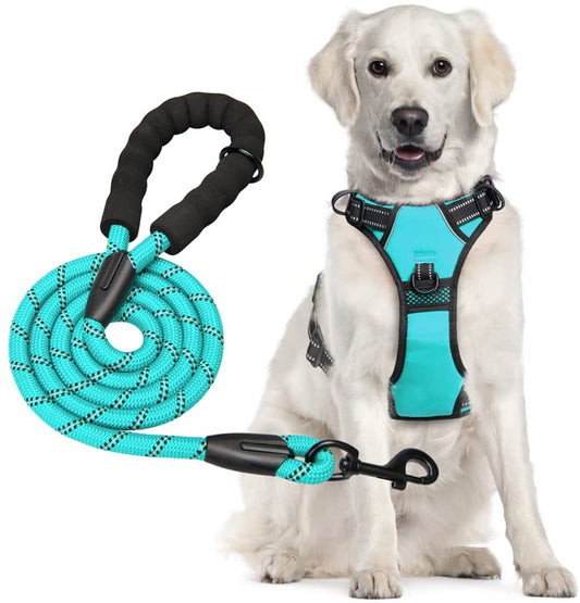 Falinlve Dog Harness and Leash Combo, Escape Proof No Pull Vest Harness, Reflective Adjustable Soft Padded Pet Harness with Handle for Small to Large Dogs,M (Blue) Animals & Pet Supplies > Pet Supplies > Dog Supplies > Dog Apparel Falinlve blue  