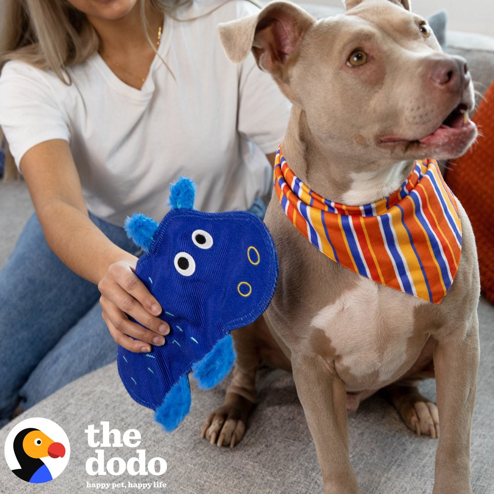 The Dodo Stuffingless Hippo Dog Crinkle Chew Toy, Blue, Durable Ballistic Nylon Dog Toy Animals & Pet Supplies > Pet Supplies > Dog Supplies > Dog Toys Fetch for Pets   