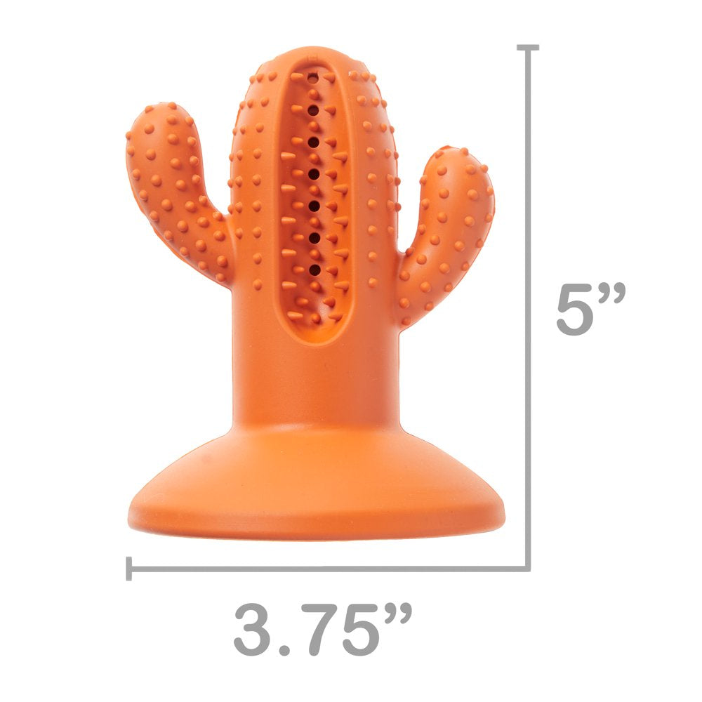 Vibrant Life Dental Suction Dog Toy, Cactus, Medium, Orange Animals & Pet Supplies > Pet Supplies > Dog Supplies > Dog Toys Vibrant Life   