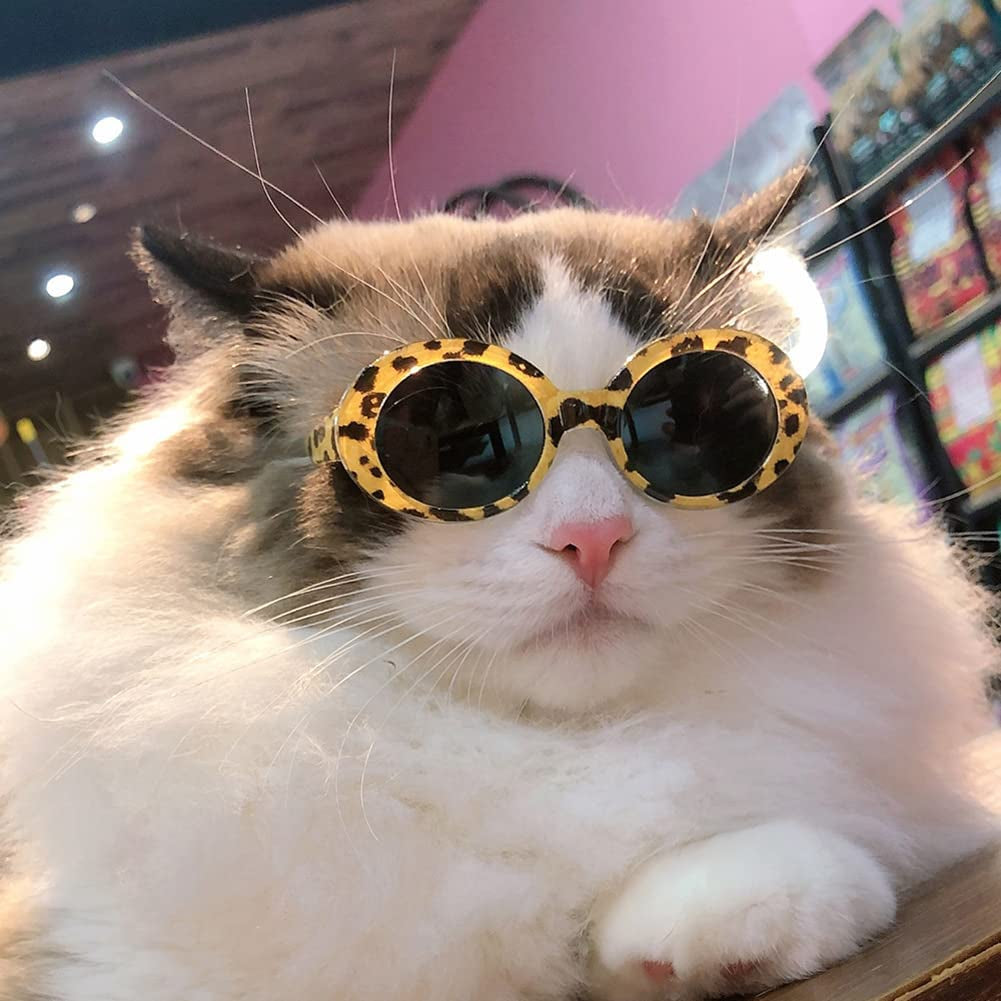 Gigicloud Small Cat Glasses Pet Sunglasses Windproof Dustproof round Dog Glasses Pet Sunglasses for Small Medium Dogs Cats Party Cosplay Costume Photo Prop Animals & Pet Supplies > Pet Supplies > Dog Supplies > Dog Apparel Gigicloud   