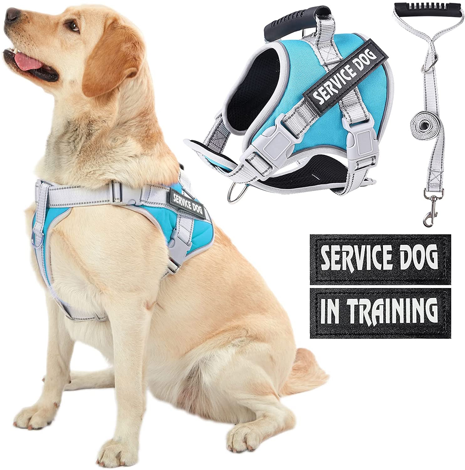 Vestharness for clearance dogs