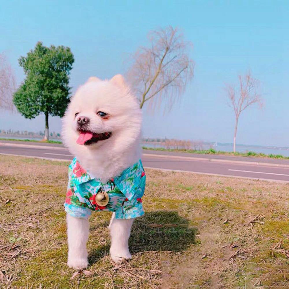 Hawaiian Dog Shirt Summer Breathable Pet Clothes Dog Sweatshirts Cool Coconut Tree Pineapple Beach Dog Shirts for Small Medium Large Dog Cat Boy Girl Cute Dog Polo Apparel Animals & Pet Supplies > Pet Supplies > Dog Supplies > Dog Apparel Stibadium   