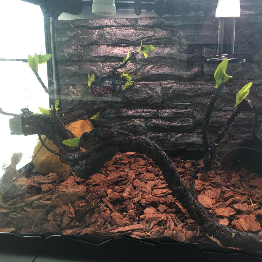 Catinbow Reptile Climbing Vines Plastics Jungle Vines Branches Habitat Terrarium Plant Decoration Accessories for Climbing Lizard Bearded Dragon Chameleon Lizards Snakes 2 Styles Dependable Animals & Pet Supplies > Pet Supplies > Small Animal Supplies > Small Animal Habitat Accessories Catinbow   