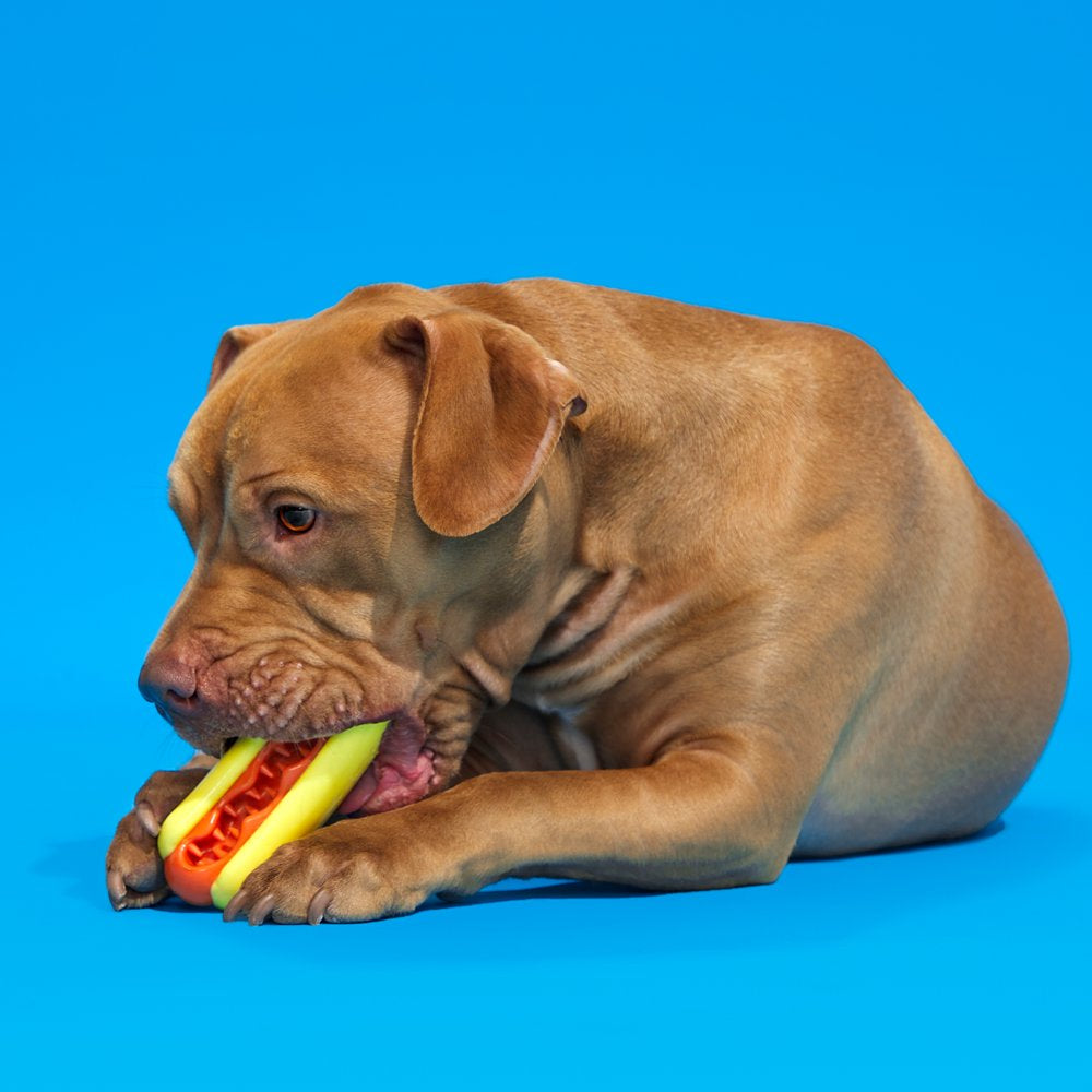 BARK Treat Meat Hotdog Super Chewer - Yankee Doodle Dog Toy, Bacon Scented, Medium Dogs Animals & Pet Supplies > Pet Supplies > Dog Supplies > Dog Toys BARK   