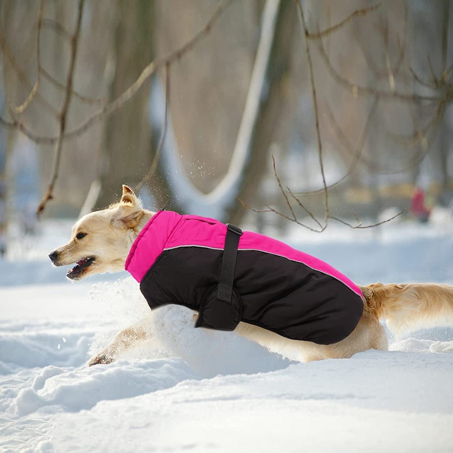 Dasior Dog Winter Coat, Warm Fleece Pet Jacket, Windproof Cold Weather Reflective Clothes Fuchsia XXL Animals & Pet Supplies > Pet Supplies > Dog Supplies > Dog Apparel Dasior   