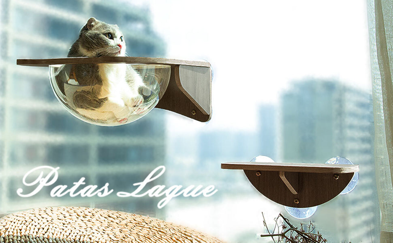 Patas Lague Floating Acrylic Cat Window/Wall-Mounted Perch Hammock with 1 Step Transparent Cat Capsule Hemisphere Cat Bed Condo Wooden Cat Tree for Windows Cat Furniture(Walnut 1 Set) Animals & Pet Supplies > Pet Supplies > Cat Supplies > Cat Furniture Whale Flotilla   