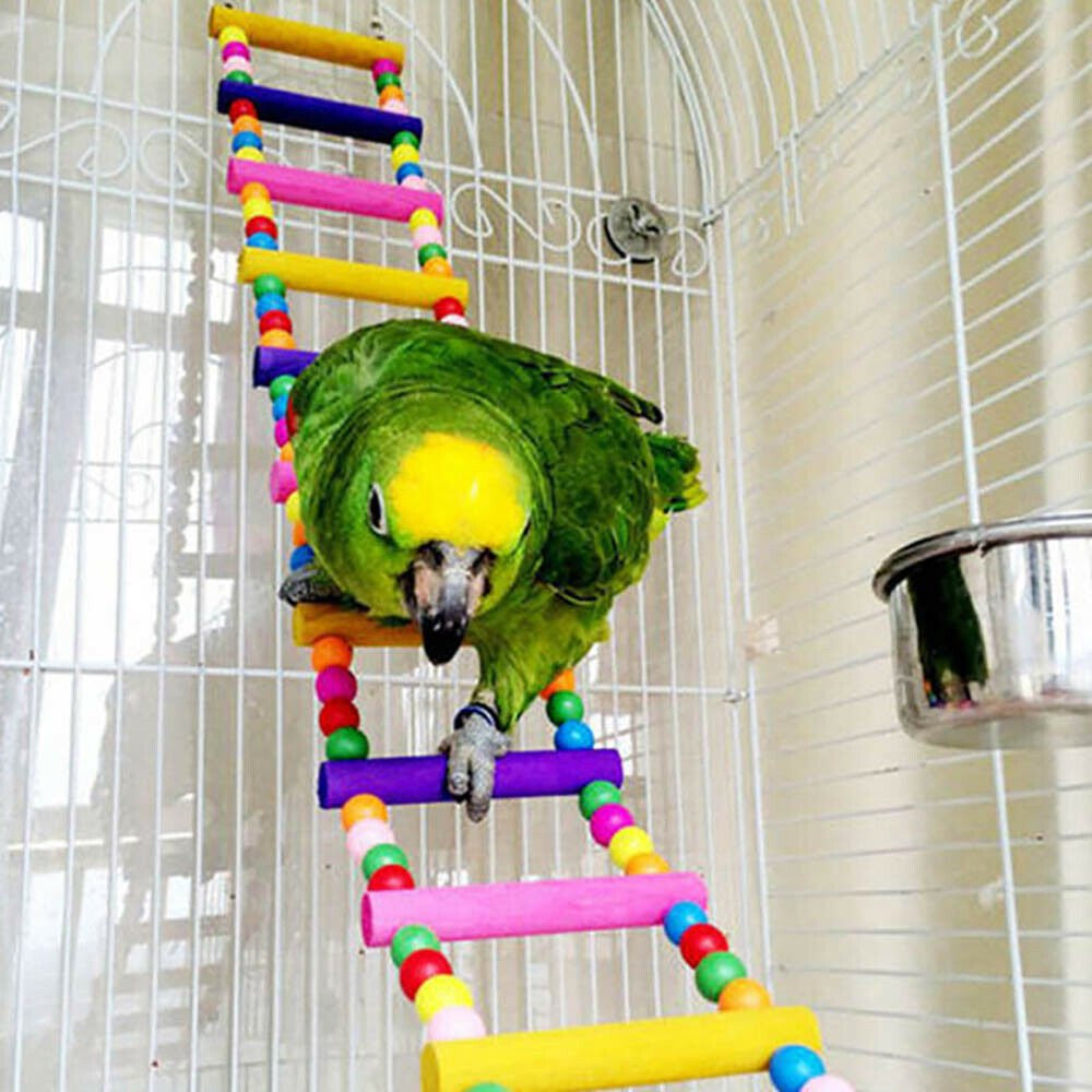 Miuline 10Pcs Parrot Toys Metal Rope Small Ladder Stand Budgie Cockatiel Cage Bird Set Animals & Pet Supplies > Pet Supplies > Bird Supplies > Bird Toys Miuline   