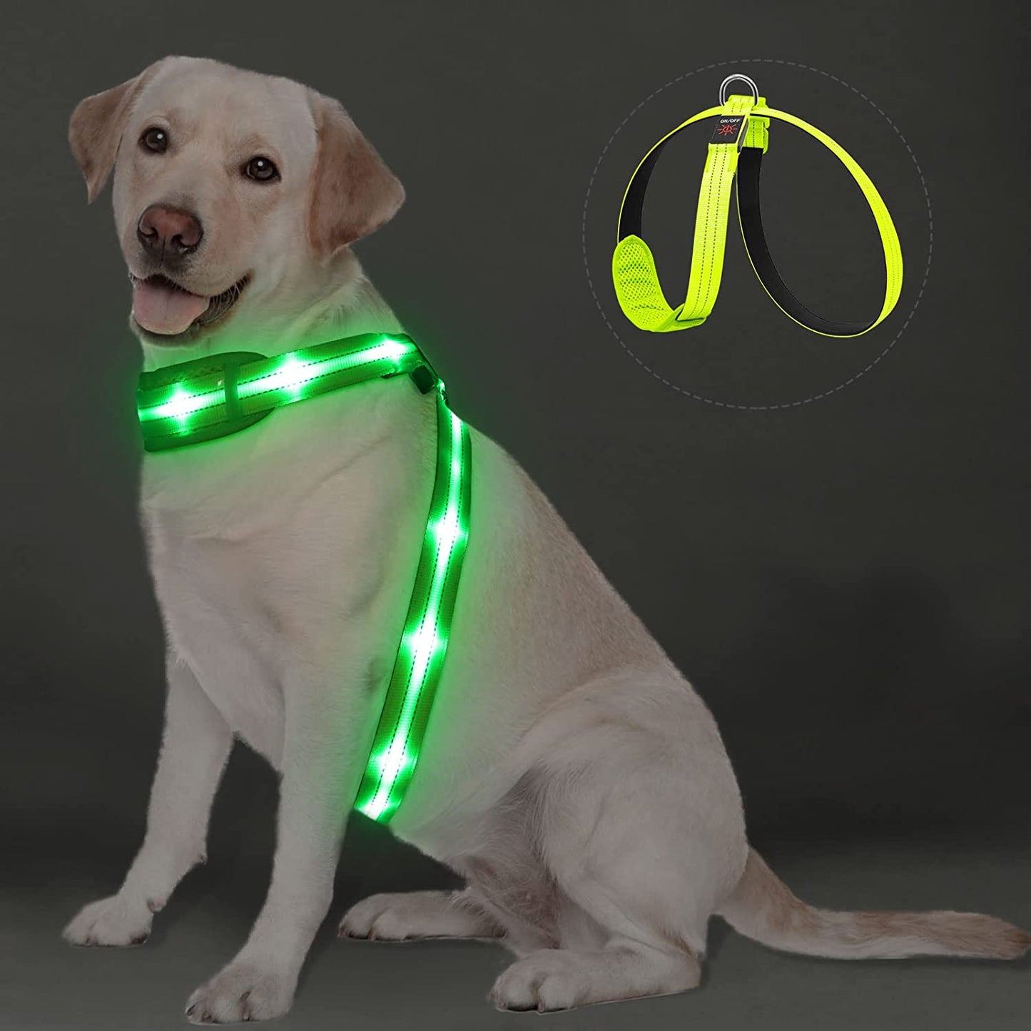 Pzrlit LED Light up Dog Vest Harness Rechargeable, Soft Padded, Adjustable & Reflective Lighted Dog Harness Waterproof, Glow Dark Dog Light Harness for Camping Night Safety Walking, Medium Blue Animals & Pet Supplies > Pet Supplies > Dog Supplies > Dog Apparel PZRLit Green M Neck+Chest≤119cm(47") 