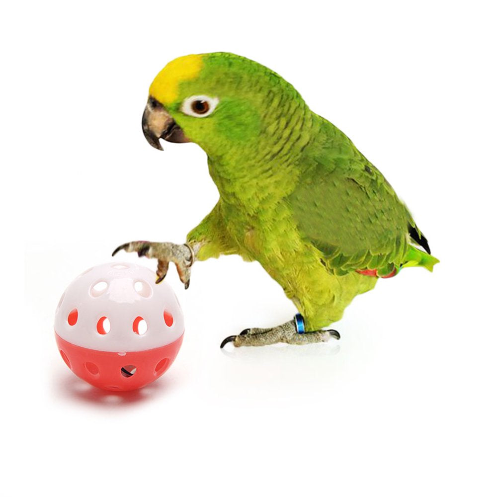 Bird Parrot Toy Colorful Rolling Ball Toys with Bell Interactive Foot Toy Cage Accessories for Medium Large Birds Animals & Pet Supplies > Pet Supplies > Bird Supplies > Bird Cage Accessories Vonets   