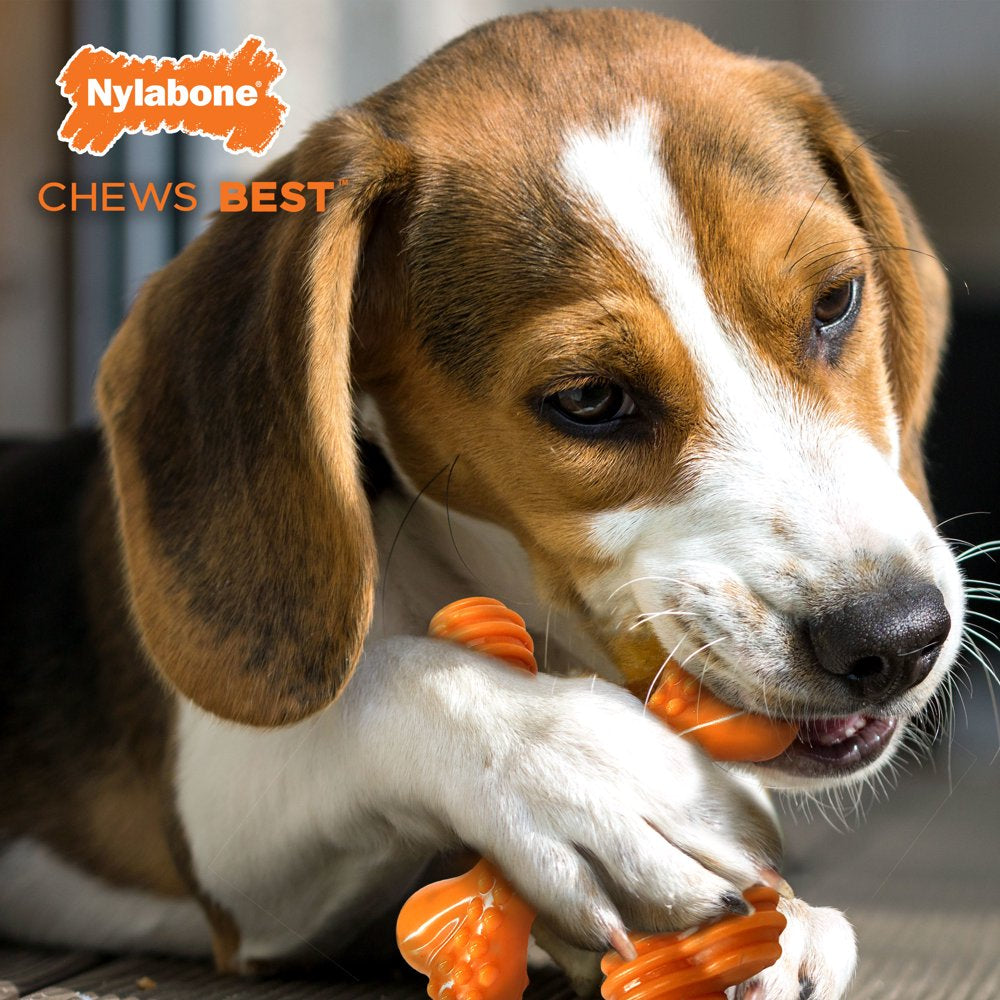 Nylabone Power Chew X-Shaped Dog Bone Chew Toy Beef Flavor Small/Regular - up to 25 Lbs.
