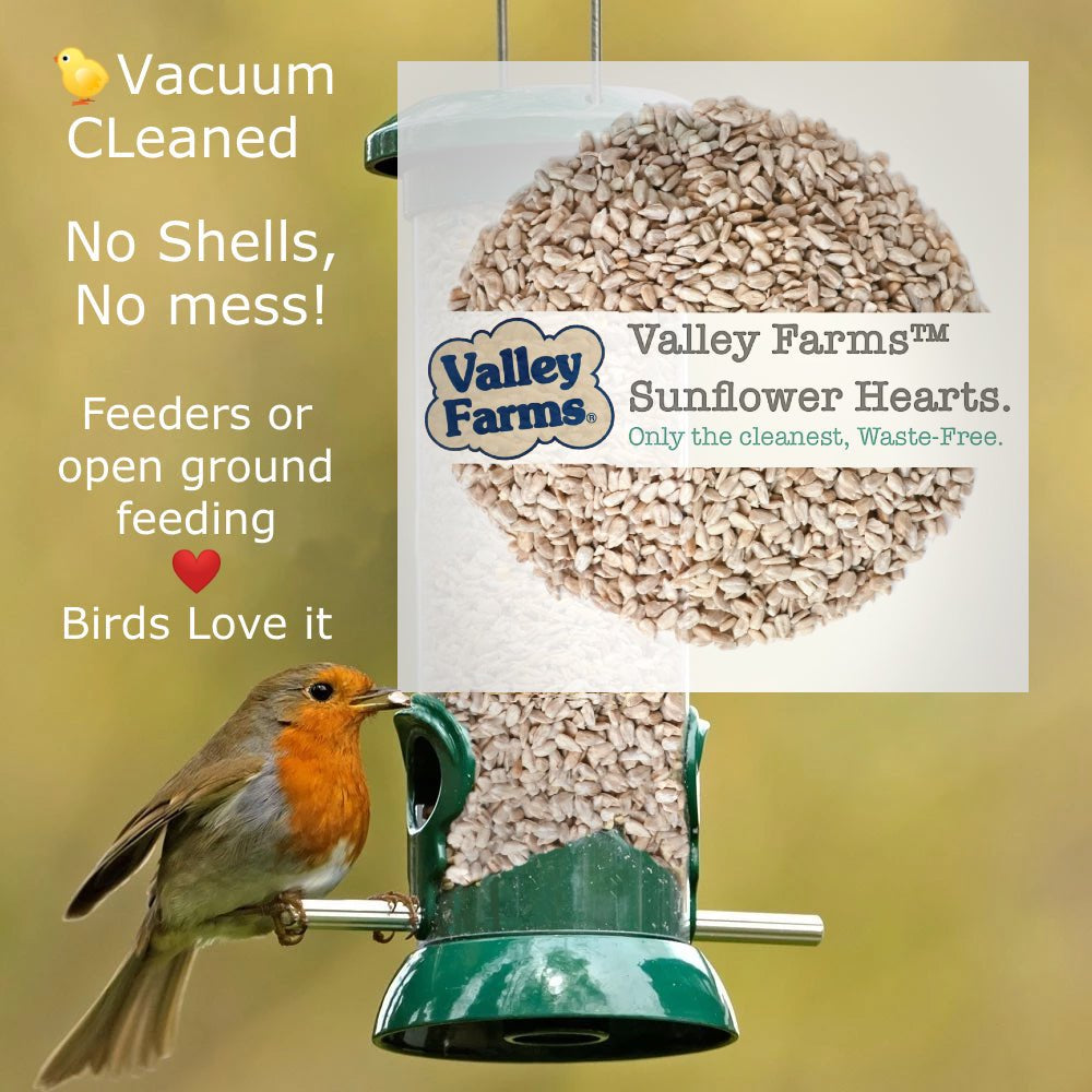 Valley Farms Sunflower Hearts Wild Bird Food Animals & Pet Supplies > Pet Supplies > Bird Supplies > Bird Food Valley Farms   