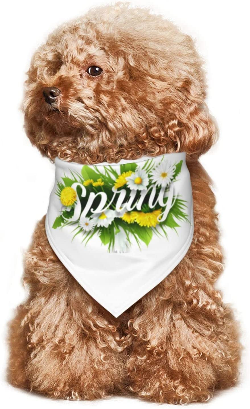 Hello Spring Floral Season Border Pet Dog and Cat Decorative Triangle Scarf,Dog Bandana,Breathable and Stain Resistant. Animals & Pet Supplies > Pet Supplies > Dog Supplies > Dog Apparel ZALTAS   