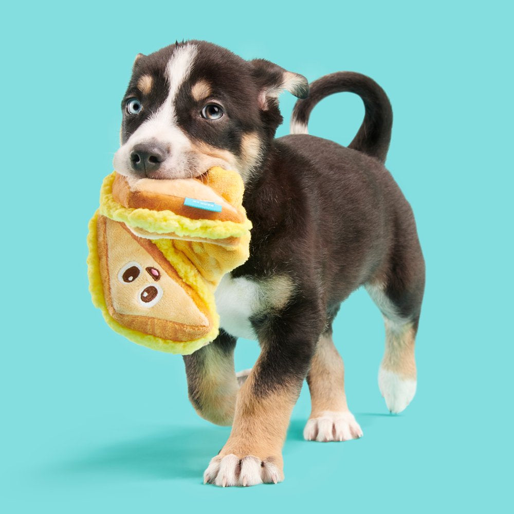 BARK Main Squeeze Cheese Dog Toy - Features Super Stretch Bungee, Xs to Medium Dogs Animals & Pet Supplies > Pet Supplies > Dog Supplies > Dog Toys BARK   