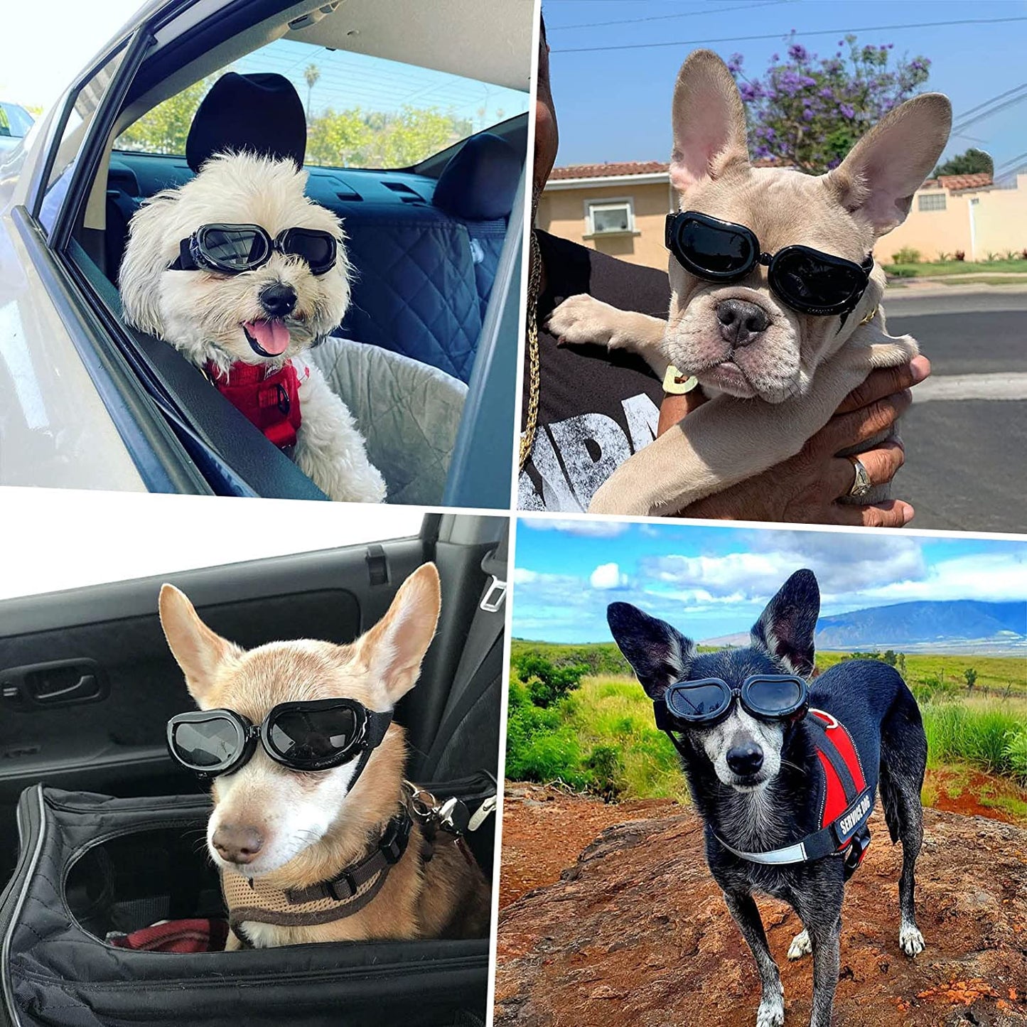 Dog Sunglasses Small Breed, UV Protection Small Dog Goggles, Wind Dust Proof Small Goggles with Adjustable Straps, Black Animals & Pet Supplies > Pet Supplies > Dog Supplies > Dog Apparel PETLESO   