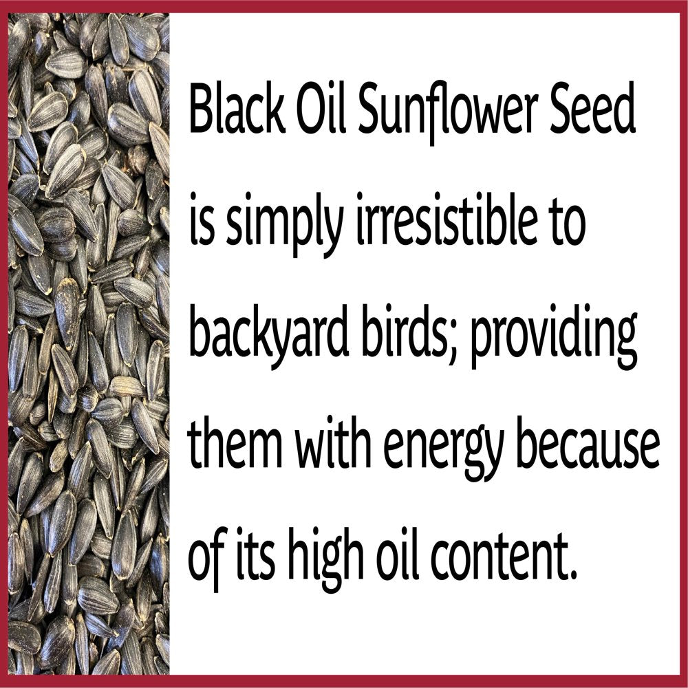 Pennington Select Black Oil Sunflower Seed Wild Bird Feed, 20 Lb. Bag Animals & Pet Supplies > Pet Supplies > Bird Supplies > Bird Food CENTRAL GARDEN & PET COMPANY   